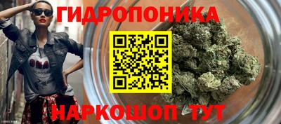 прущие крисы Нарткала